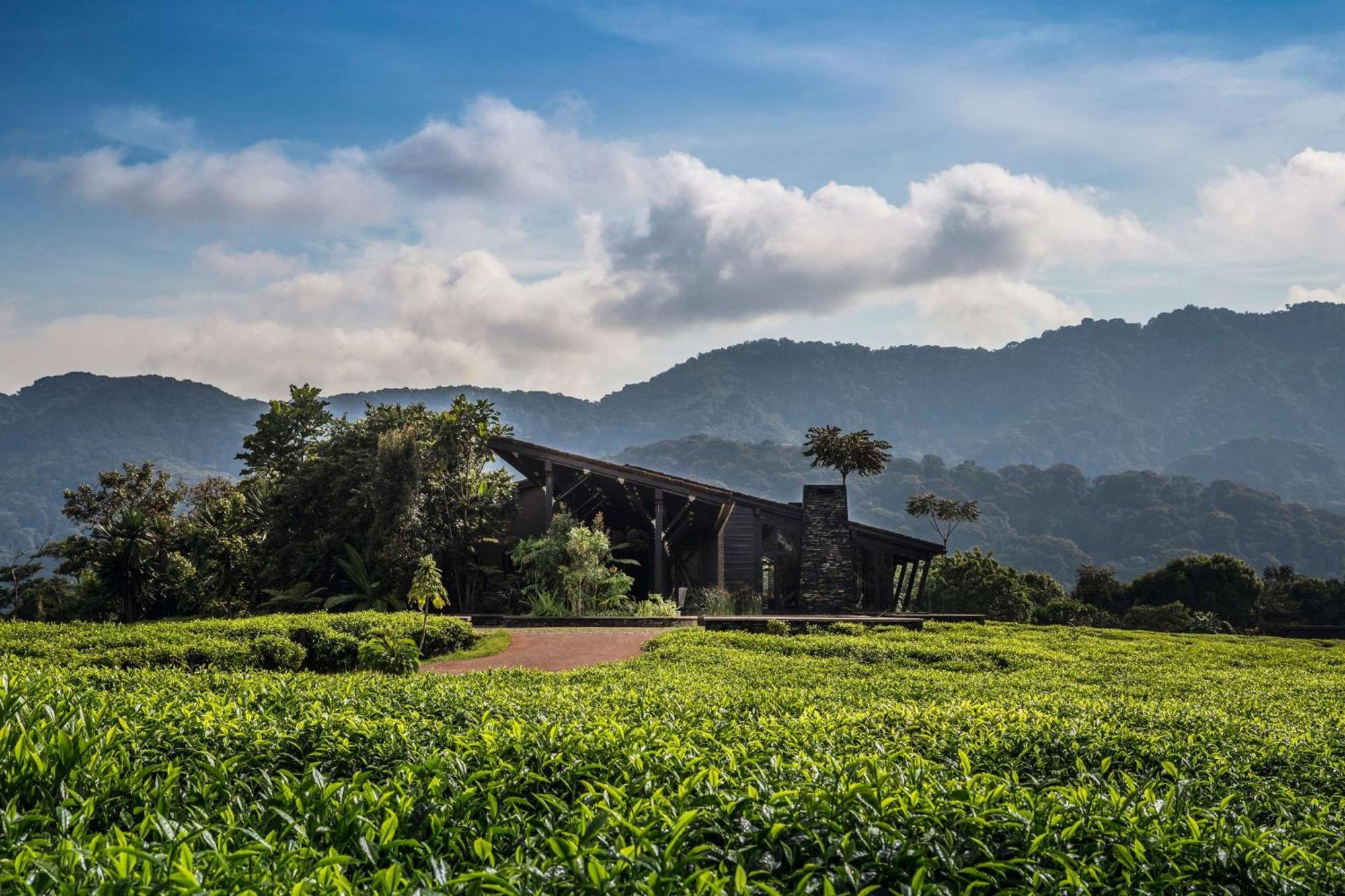 Vila One&Only Nyungwe House Rwumba Exteriér fotografie