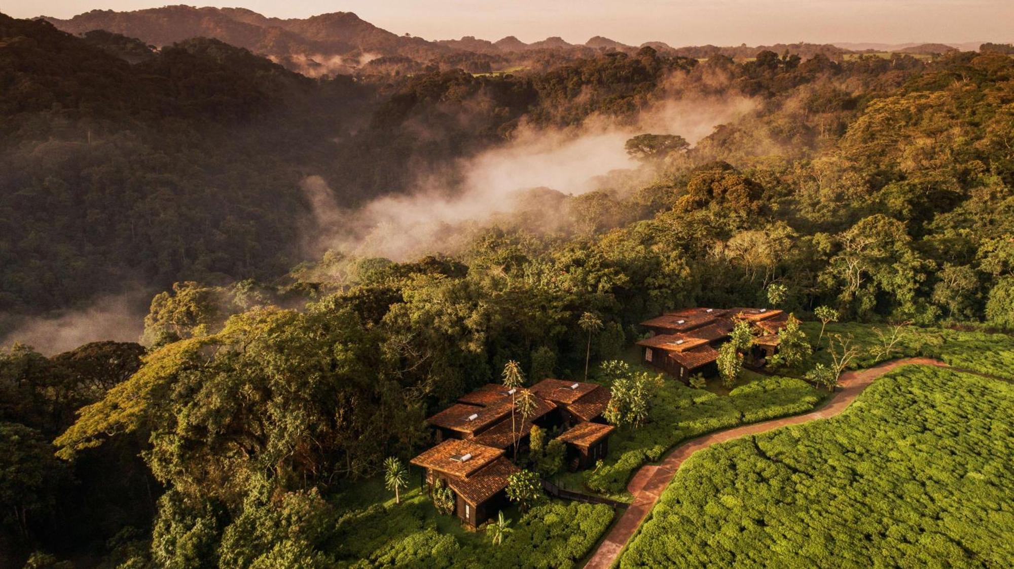 Vila One&Only Nyungwe House Rwumba Exteriér fotografie