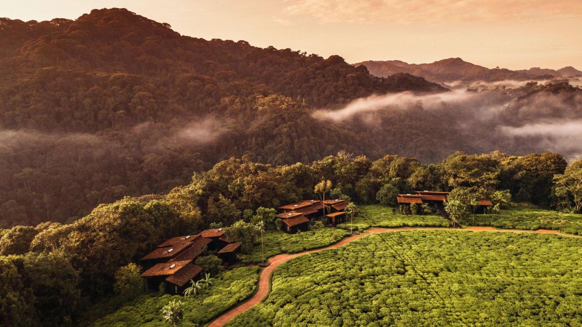 Vila One&Only Nyungwe House Rwumba Exteriér fotografie